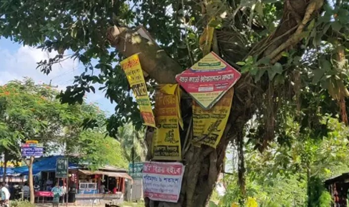 গাছ রক্ষায় কড়াকড়ি, পেরেক ঠুকলেই জরিমানা